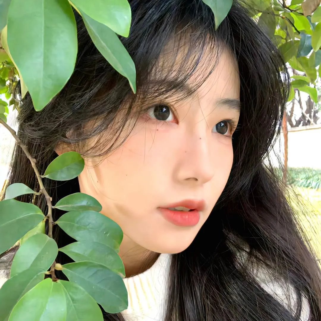窗户上的阴影