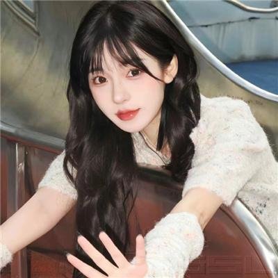 新妇日记