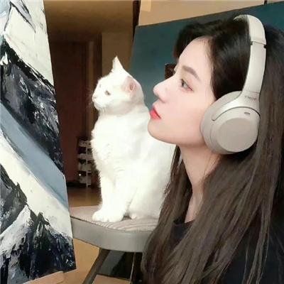 威尼斯的阿历克斯